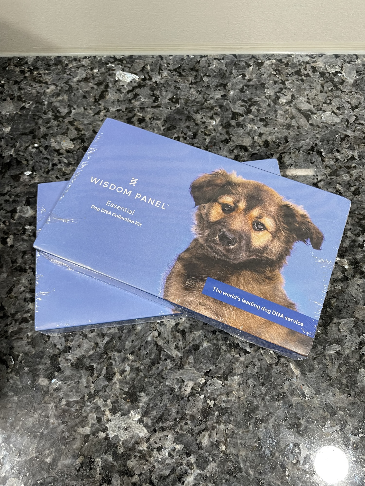 Wisdom Panel dog DNA Test Review
