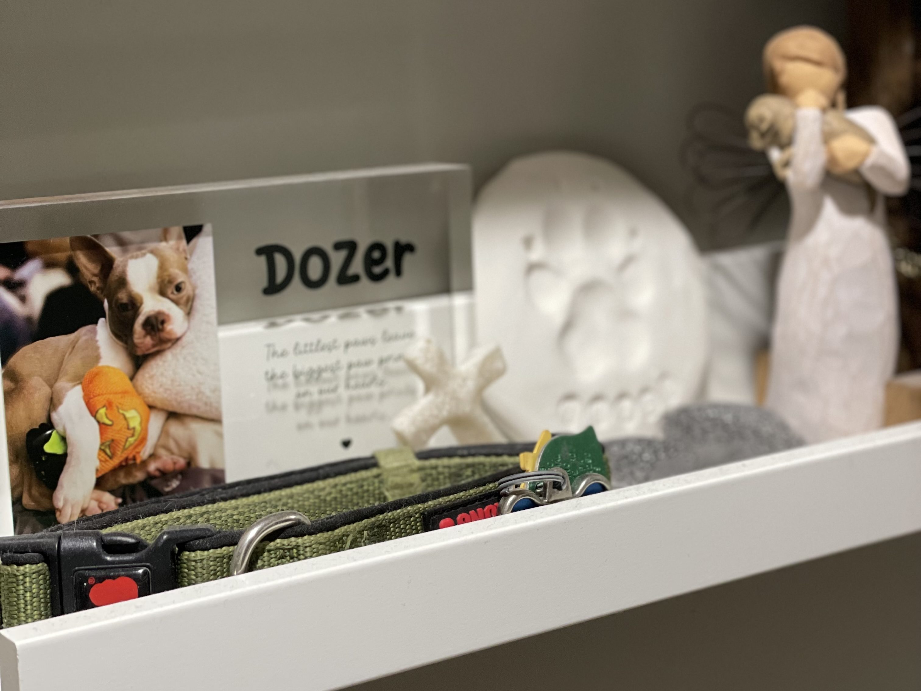 Coping with Pet Loss