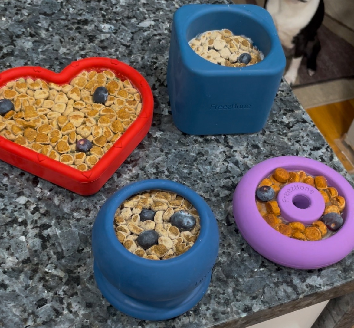 Best Slow Feeder Dog Bowls