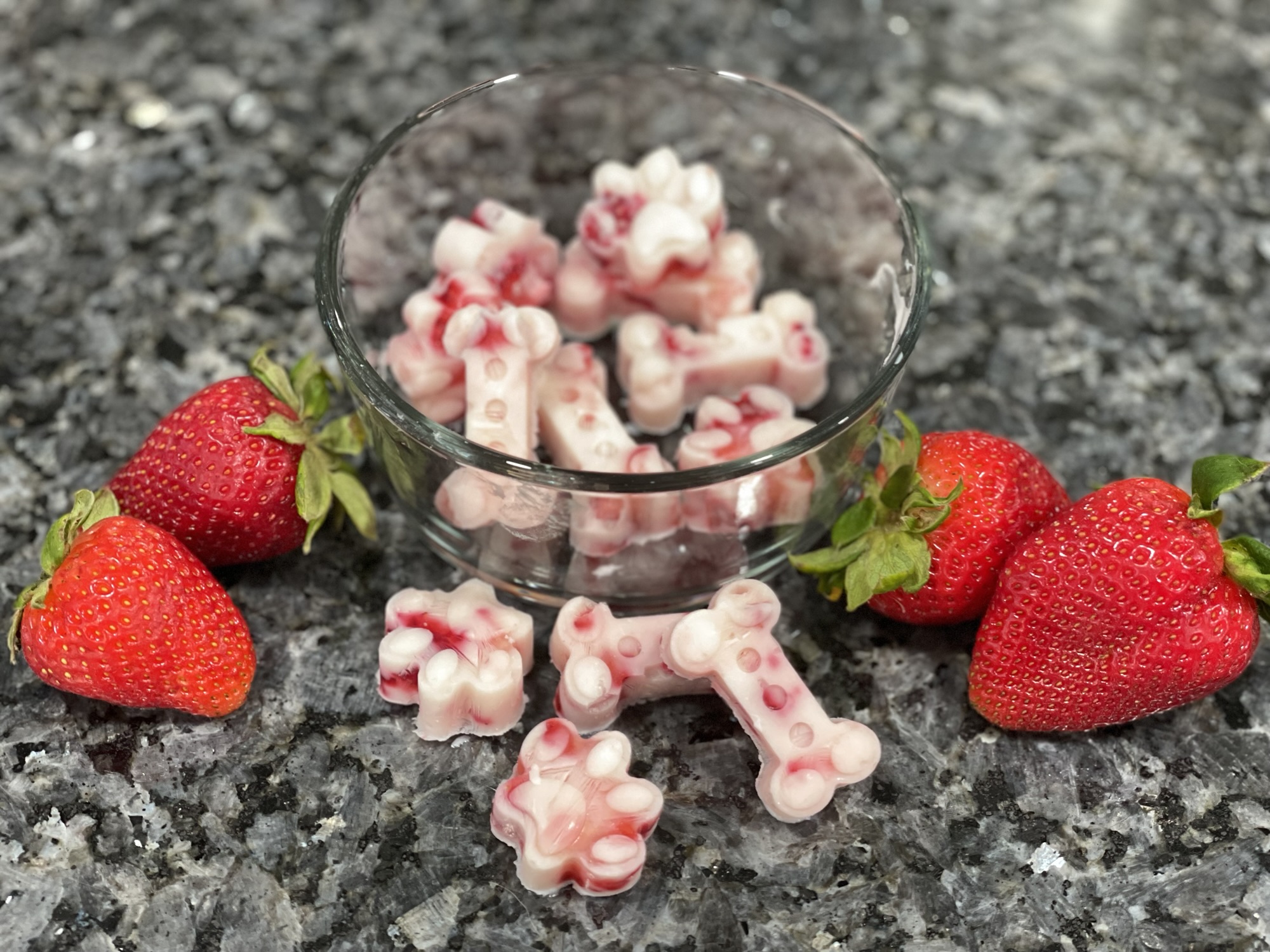 Frozen Dog Treats Recipes